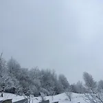 у люби