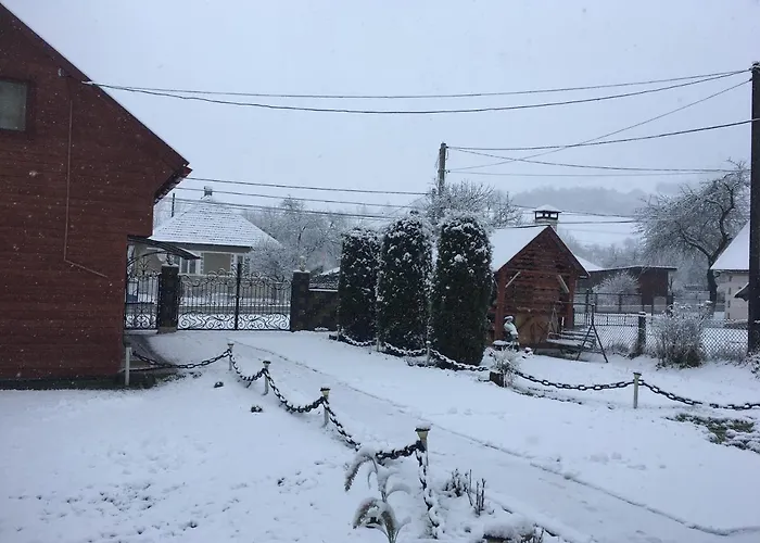 у люби Huklyvyy