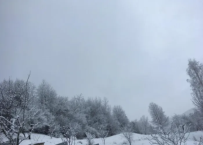 у люби