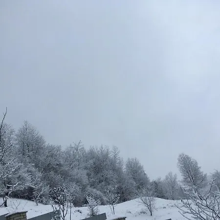 у люби