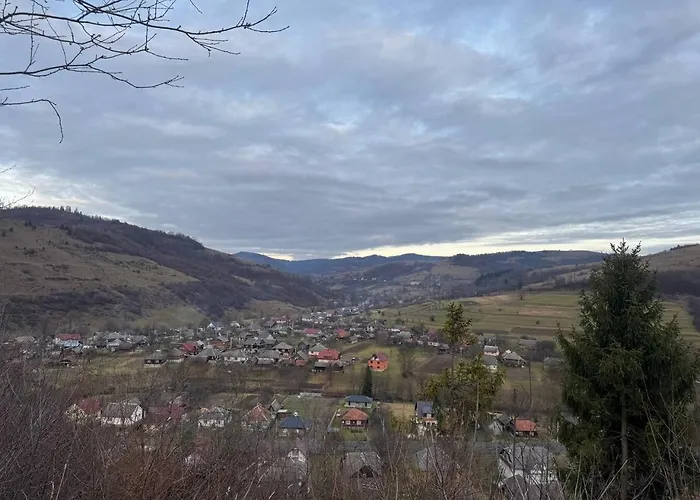 у люби